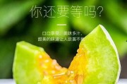 怎么可以吃兔兔 