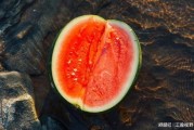 黑料吃瓜网apk普通安装 
