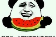 网红吃播模拟器 